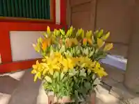 石上神宮(奈良県)