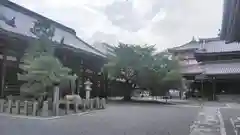 本法寺の本殿