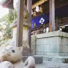 白國神社の建物その他