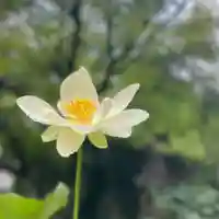 伊勢の国 四天王寺の自然