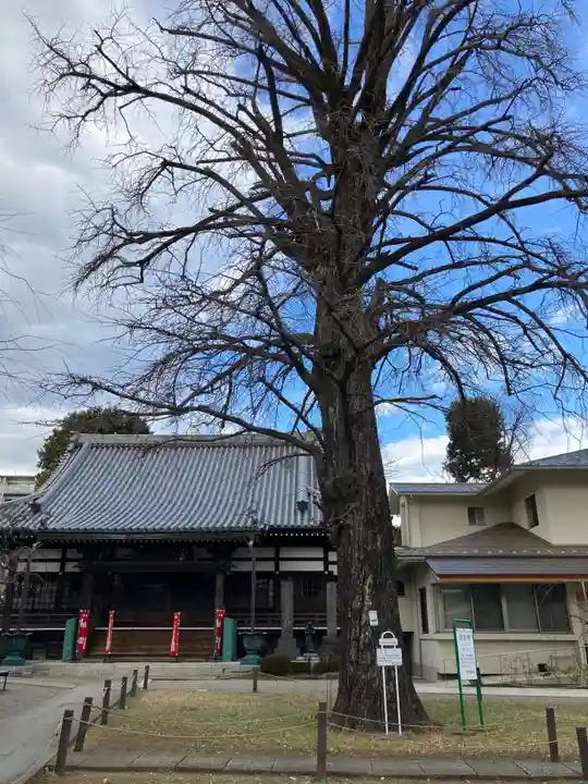 常圓寺(東京都)