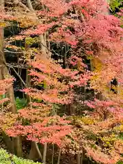 今熊野観音寺の自然