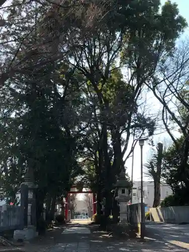 赤塚氷川神社の鳥居