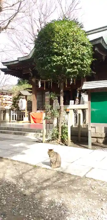 小野照崎神社の動物