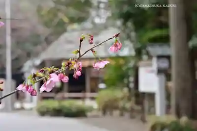 櫻木神社(千葉県)