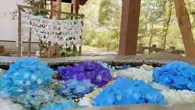 福母八幡宮(佐賀県)