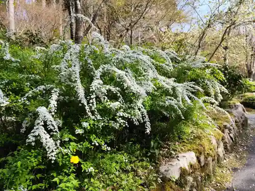 三千院門跡(京都府)