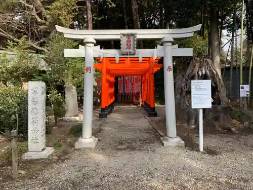 常磐神社の鳥居