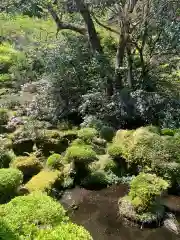 伝来寺の庭園