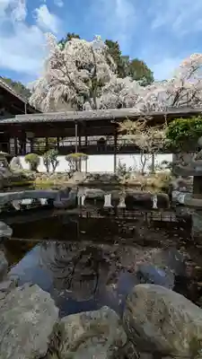 十輪寺(京都府)