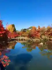 禅林寺（永観堂）(京都府)