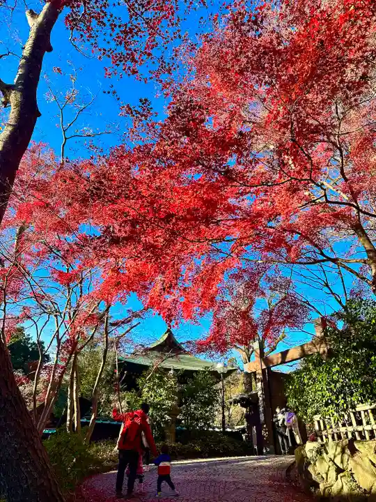 深大寺(東京都)