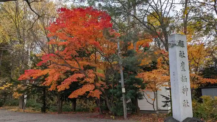 鷹栖神社の自然