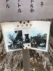 金山神社の自然