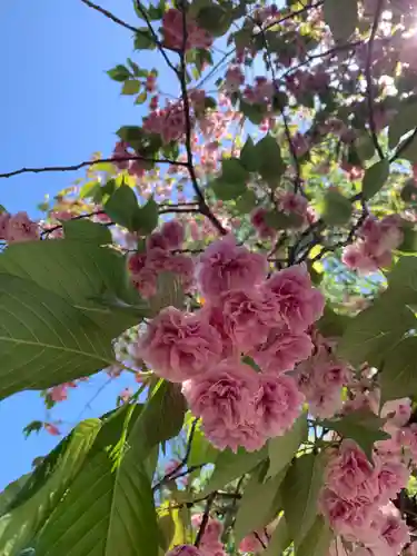 駒形神社(群馬県)