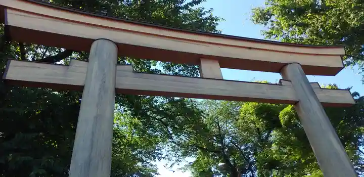 須賀神社の鳥居