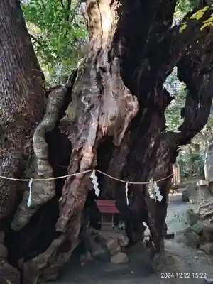 來宮神社(静岡県)