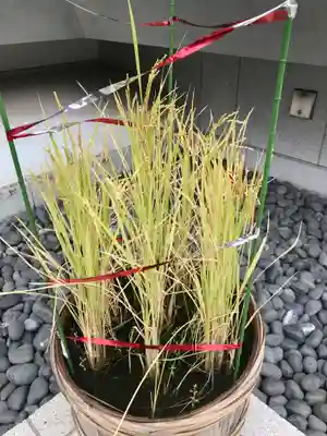 水天宮(東京都)