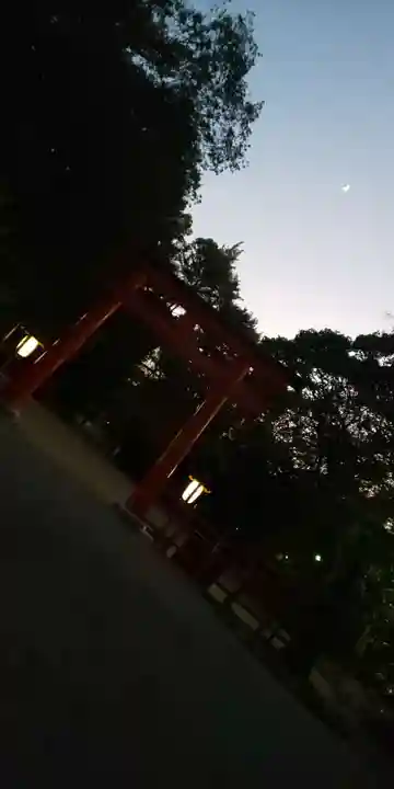 賀茂御祖神社(下鴨神社)の鳥居