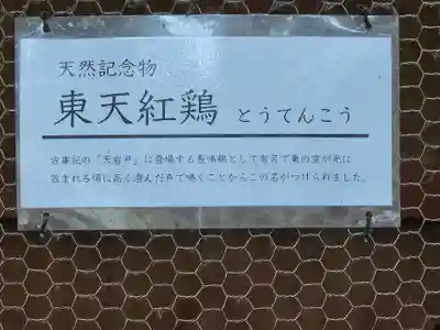 大甕神社(茨城県)