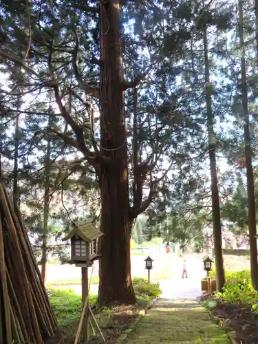 小野観音堂(福島県)