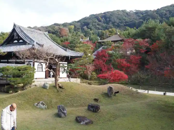 高台寺(高台寿聖禅寺・高臺寺)(京都府)