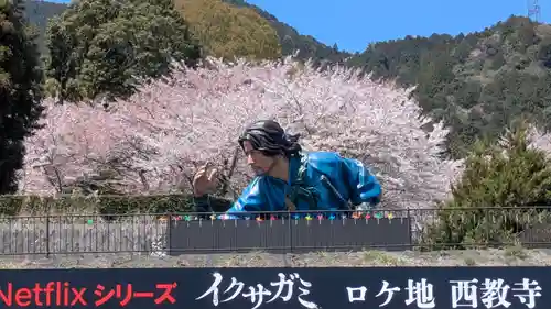 西教寺(滋賀県)