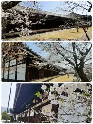 元興寺の{uncategorized: "未分類", other: "その他", undefined: "問題あり", building: "その他建物", grave: "お墓", sacred_gate: "鳥居", guardian: "狛犬", statue: "像", buddha: "仏像", history: "歴史", nature: "自然", garden: "庭園", animal: "動物", pagoda: "塔", temizu: "手水舎", mountain_gate: "山門・神門", sanctuary: "本殿・本堂", subordinate: "末社・摂社", art: "芸術", scenery: "景色", jizo: "地蔵", ema: "絵馬", goshuin: "御朱印", omikuji: "おみくじ", items: "授与品その他", amulet: "お守り", goshuincho: "御朱印帳", eats: "食事", festival: "お祭り", votive_dance: "神楽", shichigosan: "七五三参", wedding: "結婚式", experience: "体験その他", initially: "初詣", around: "周辺", anti_infection: "感染症対策"}