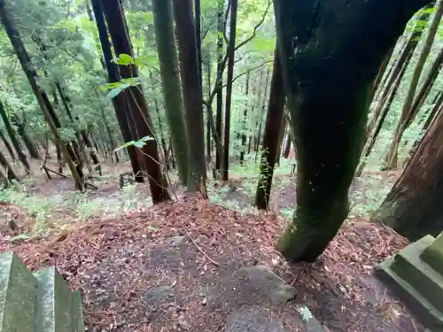 鳥越観音の周辺