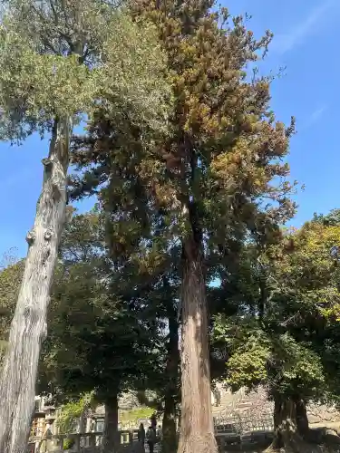 松江神社の{uncategorized: "未分類", other: "その他", undefined: "問題あり", building: "その他建物", grave: "お墓", sacred_gate: "鳥居", guardian: "狛犬", statue: "像", buddha: "仏像", history: "歴史", nature: "自然", garden: "庭園", animal: "動物", pagoda: "塔", temizu: "手水舎", mountain_gate: "山門・神門", sanctuary: "本殿・本堂", subordinate: "末社・摂社", art: "芸術", scenery: "景色", jizo: "地蔵", ema: "絵馬", goshuin: "御朱印", omikuji: "おみくじ", items: "授与品その他", amulet: "お守り", goshuincho: "御朱印帳", eats: "食事", festival: "お祭り", votive_dance: "神楽", shichigosan: "七五三参", wedding: "結婚式", experience: "体験その他", initially: "初詣", around: "周辺", anti_infection: "感染症対策"}