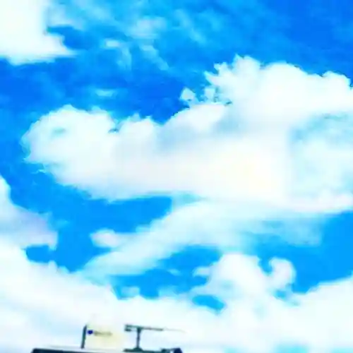 神田神社（神田明神）の自然