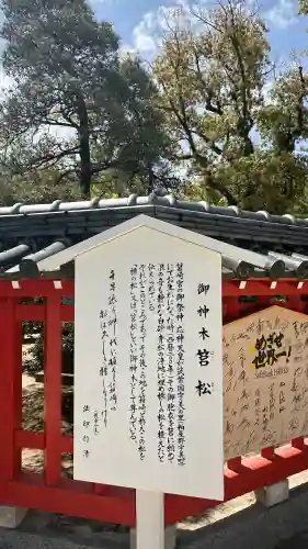 筥崎宮(福岡県)