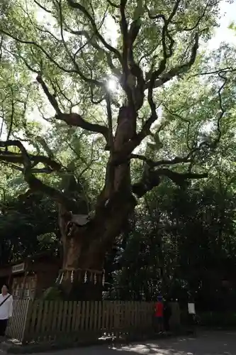 熱田神宮(愛知県)