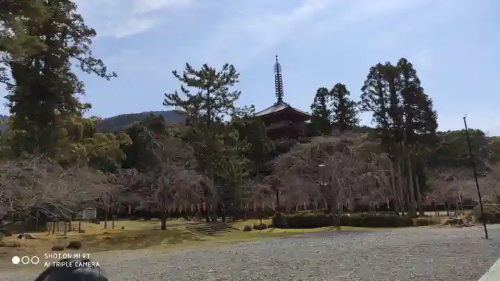 醍醐寺のその他建物