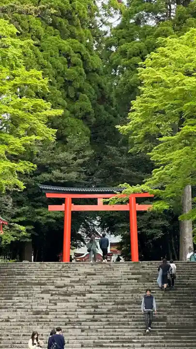 霧島神宮(鹿児島県)