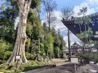 新緑が美しい境内。散策が楽しめます。