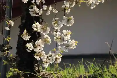 諏訪神社(福島県)