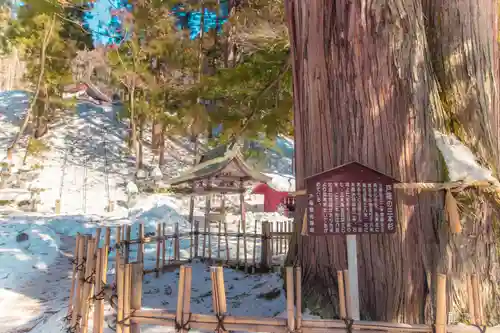 戸隠神社中社(長野県)