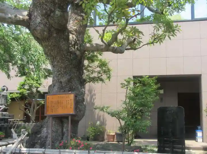 大光院(神奈川県)