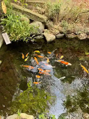 秩父神社(埼玉県)