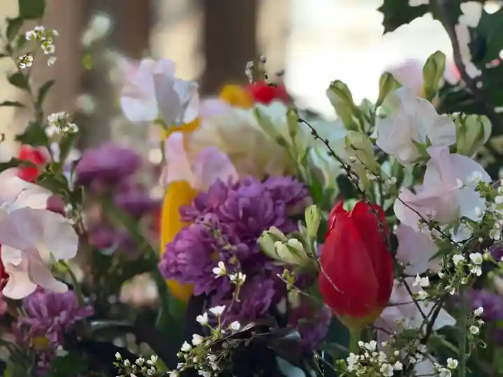 富知六所浅間神社の自然