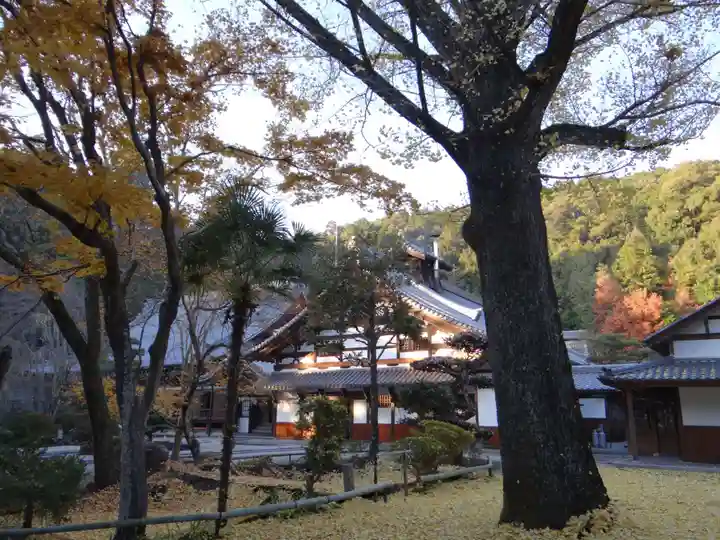 正眼寺(岐阜県)