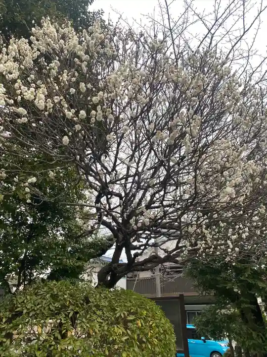 叶神社 (西叶神社)(神奈川県)