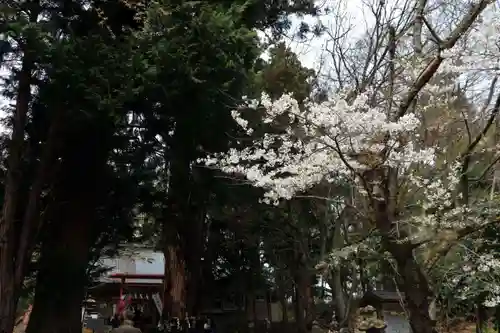 磐椅神社の景色