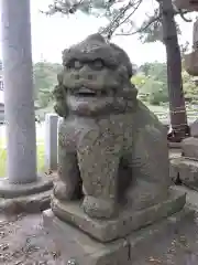 白山神社の狛犬