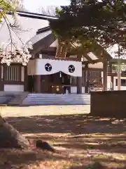 岩内神社の本殿