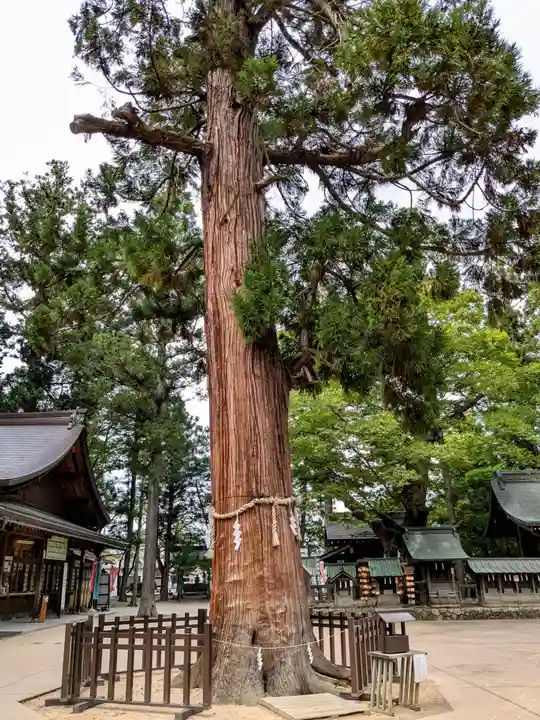 穂高神社本宮(長野県)