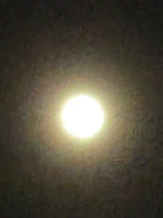 櫻木神社(千葉県)