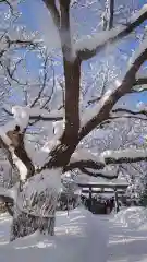 相馬神社(北海道)