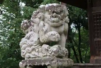 隠津島神社の狛犬